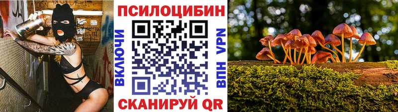 мориарти состав Заволжье Галлюциногенные грибы мухоморы