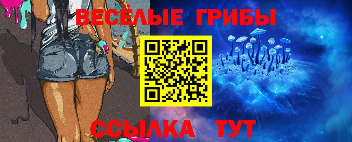 Галлюциногенные грибы Psilocybine cubensis  Псилоцибиновые грибы Cubensis  Заволжье  Вход с VPN 